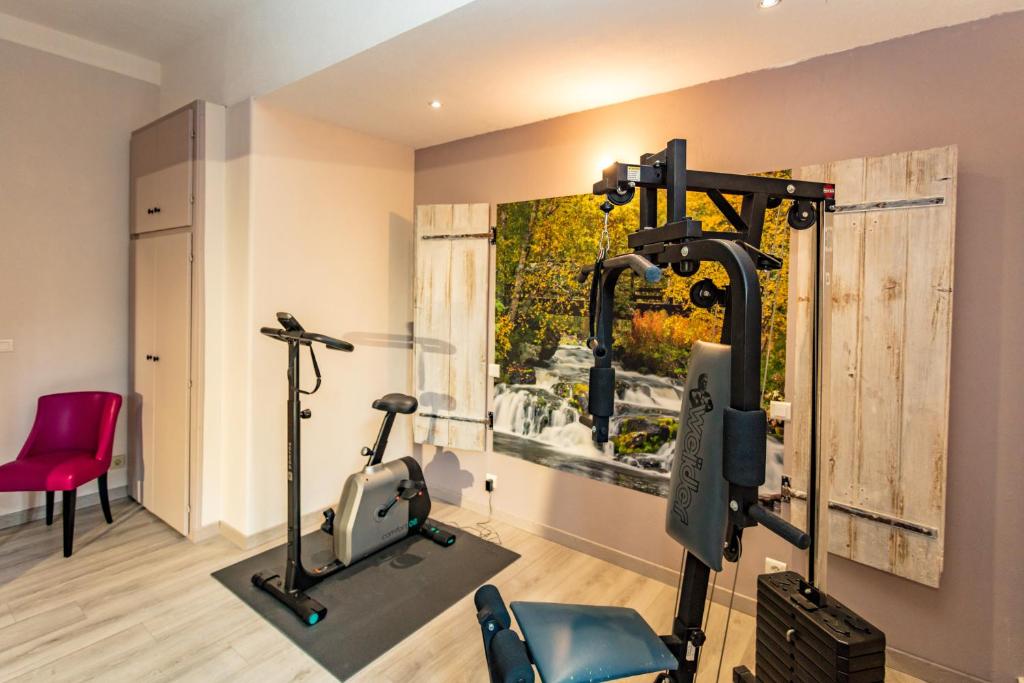 Fitness centrum a/nebo fitness zařízení v ubytování Logis Hostellerie Du Grand Duc hôtel restaurant