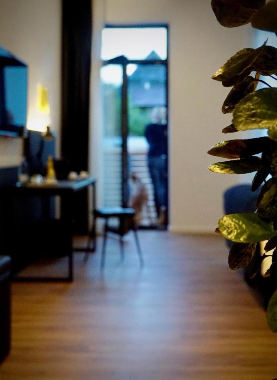 TV a/nebo společenská místnost v ubytování Hotel Merian