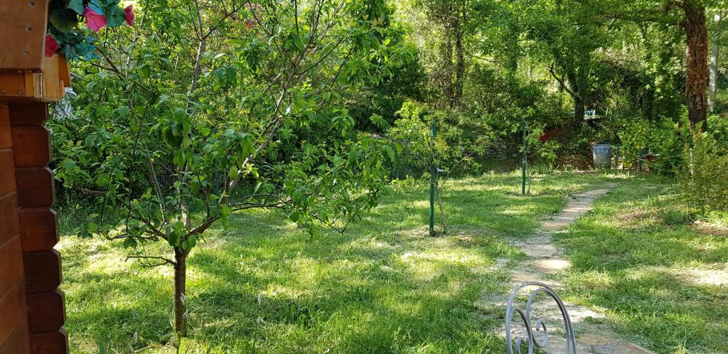 Zahrada ubytování Villa Eden Vert
