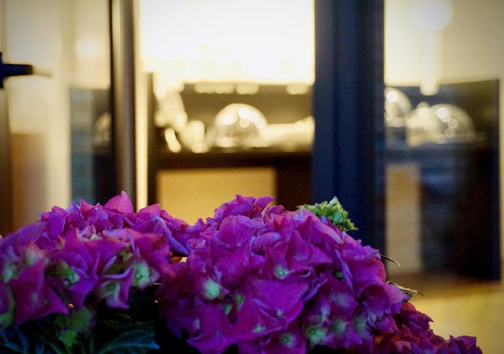 Kuchyň nebo kuchyňský kout v ubytování Hotel Merian