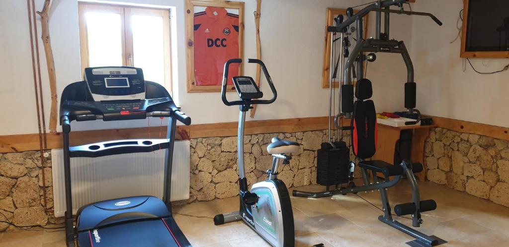 Spordikeskus ja/või sportimisvõimalused majutusasutuses Plitvice Ethno House