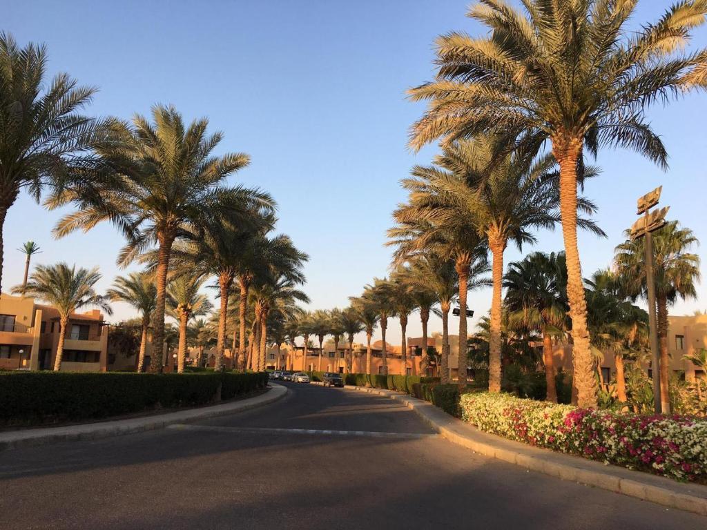 Zahrada ubytování Apartment in Stella di Mare Hurghada