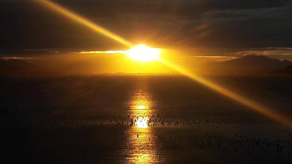  Tainha da Praia Aparthotel