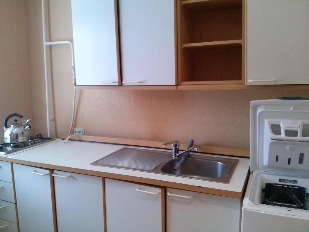 uma cozinha com um lavatório e um fogão em Затишна двокімнатна квартира em Vatutine