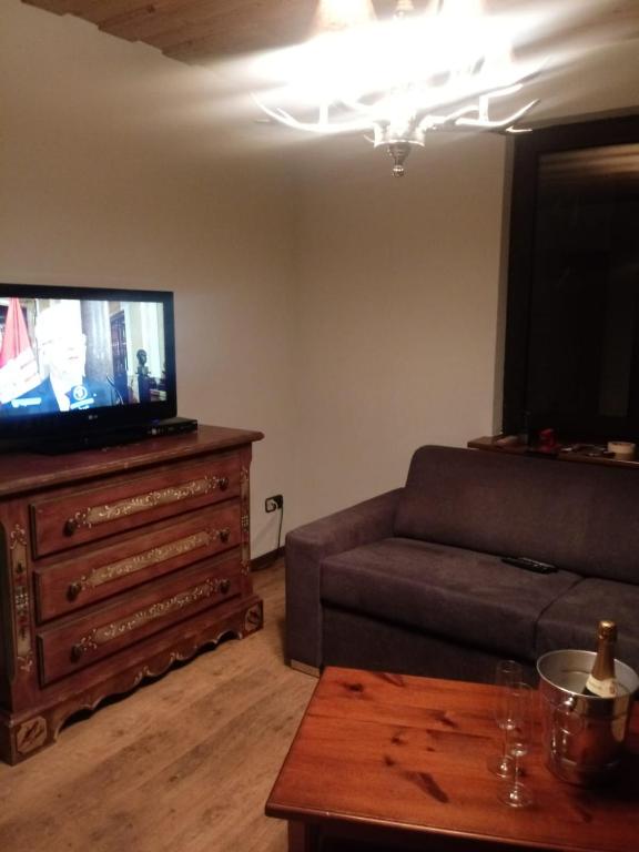 TV a/nebo společenská místnost v ubytování Landhaus Brockenblick