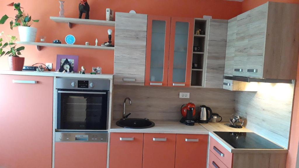 River View Apartment Gospic - 7