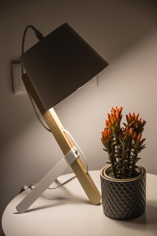 TRIA NOMINA Apartamentos Turísticos - 5