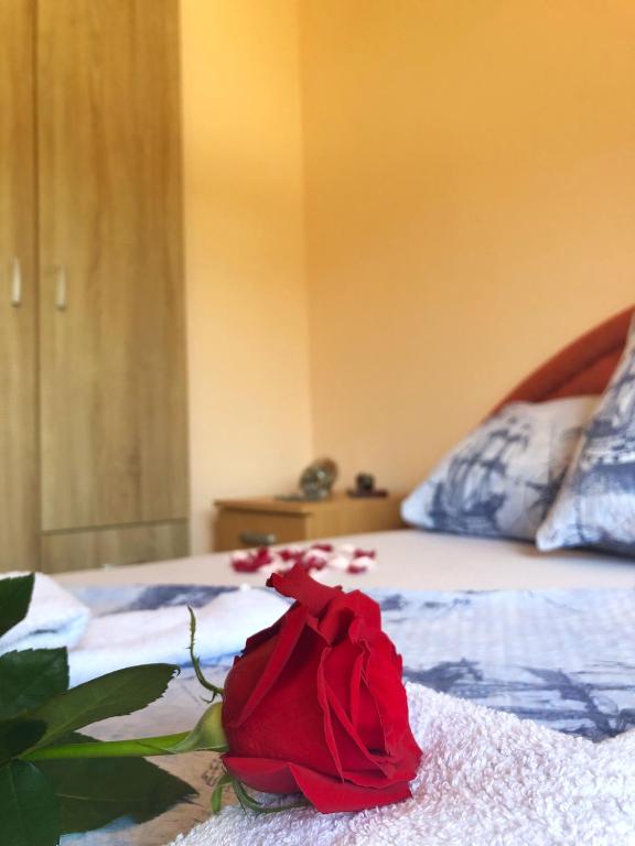 a red rose sitting on top of a bed at Apartments Simic in Kamenari