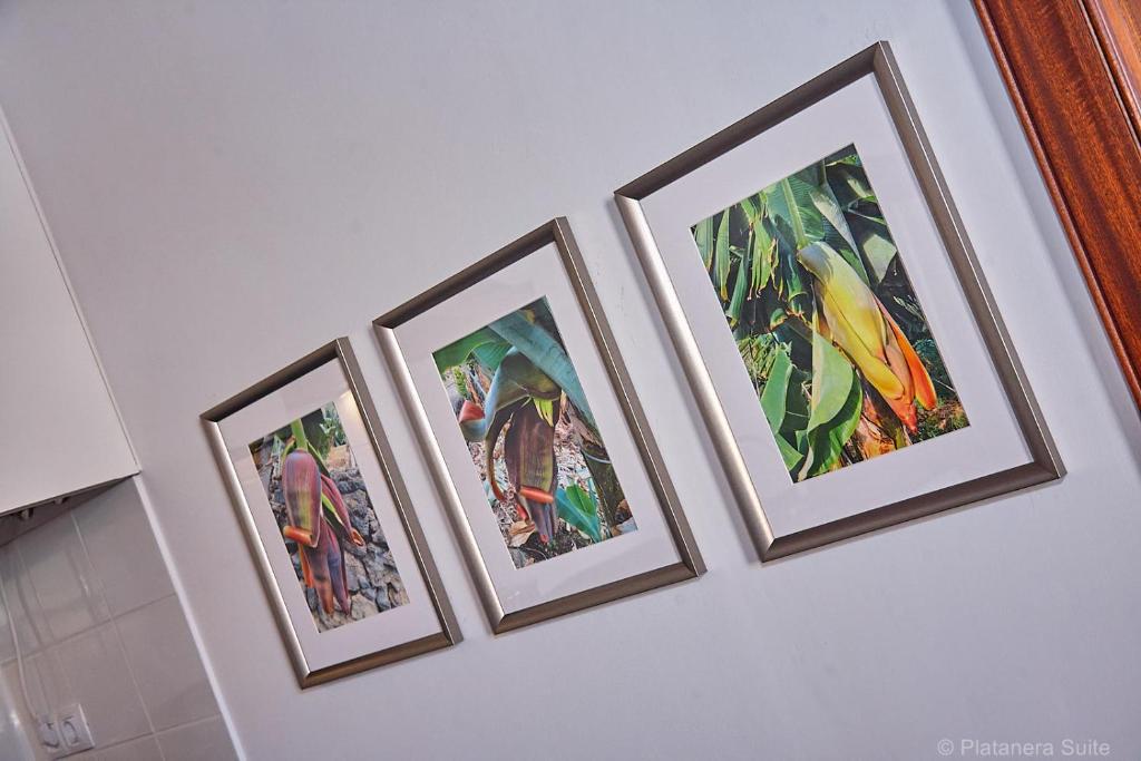 Platanera Suites - 4