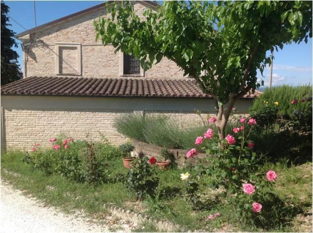 a brick house with flowers in front of it at All'ombra degli Ulivi B&B in San Marcello