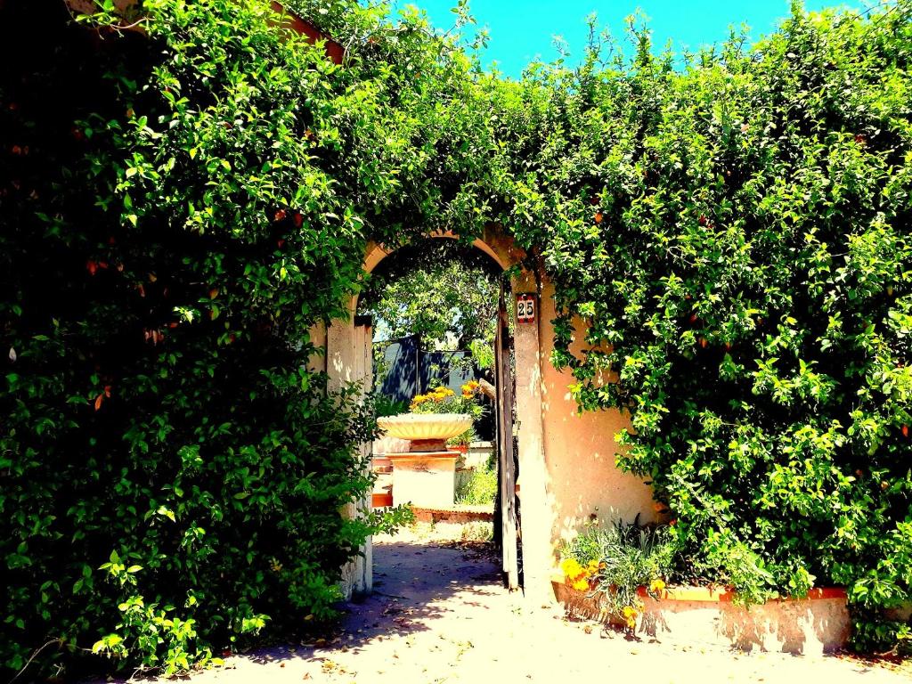 Zahrada ubytování Casa Magnolia