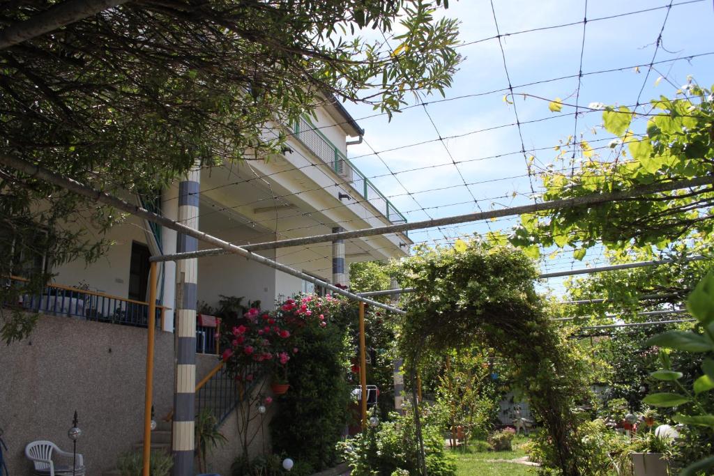 Zahrada ubytování Hostel -Sema