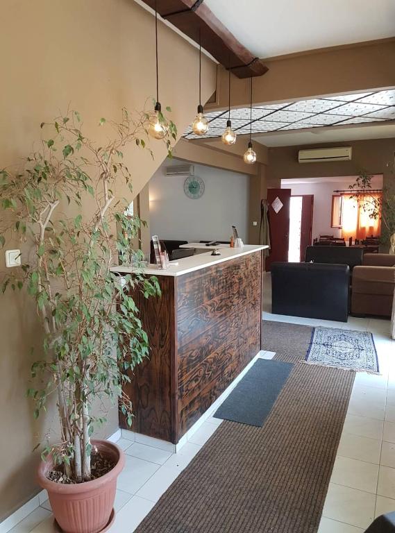Kuchyň nebo kuchyňský kout v ubytování Hotel Paralia