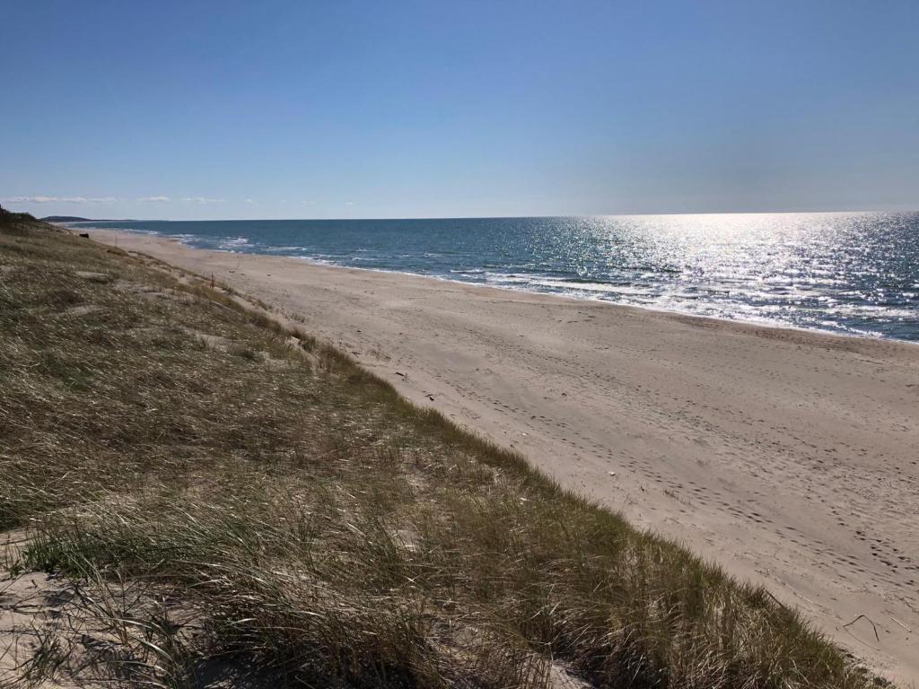 Galeriebild der Unterkunft Amber Loft in Nida