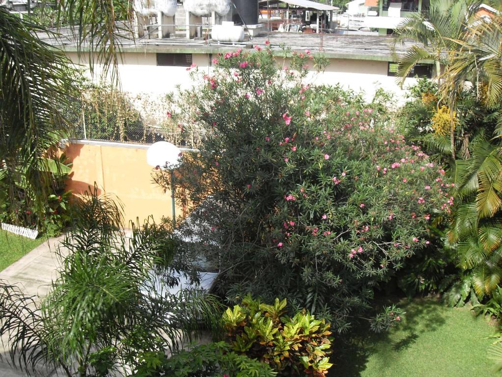 Zahrada ubytování Hotel Playa Cristal