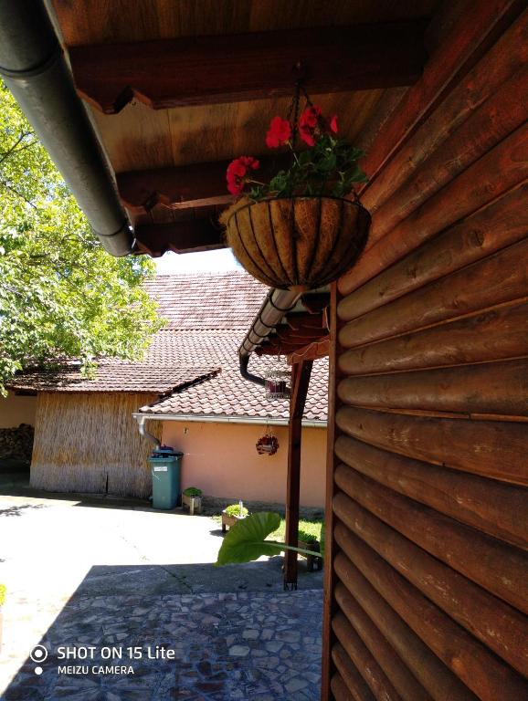 Mynd úr myndasafni af Tera Nova í Vrdnik