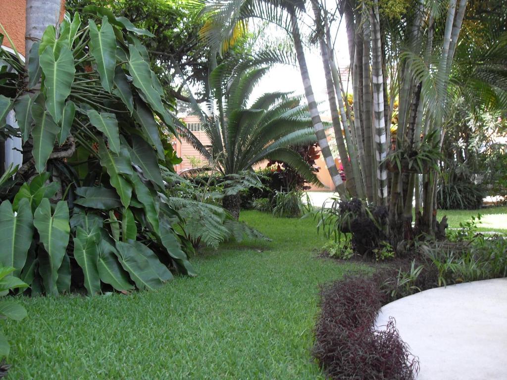Zahrada ubytování Hotel Playa Cristal