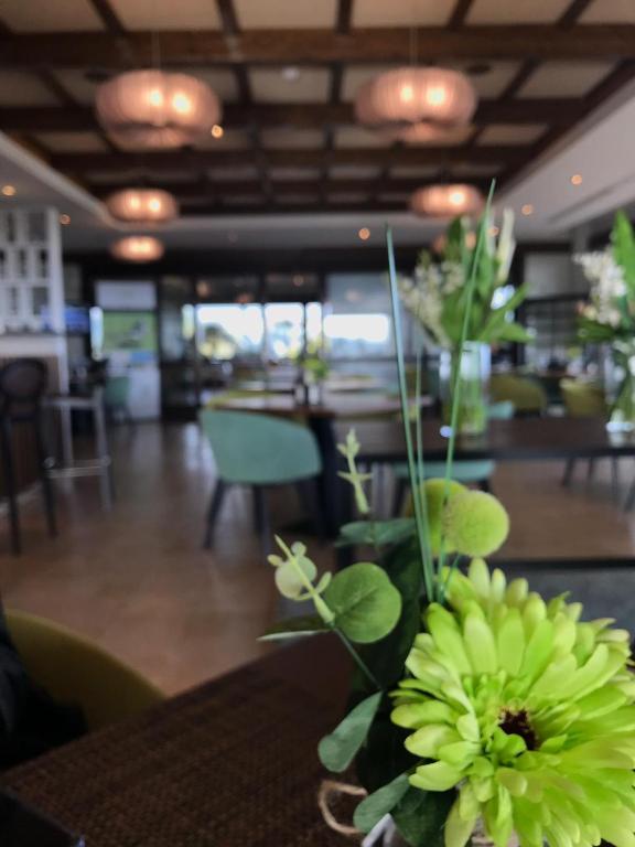 Apartment Casa Golondrino, Estepona, Spain - Booking.com
