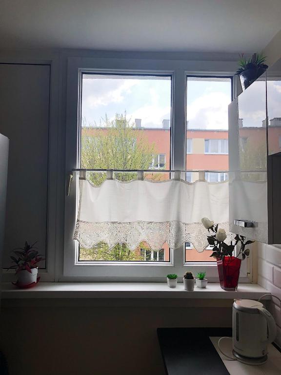 Kawalerka - Jelenia Gora, dziel. Zabobrze - 6