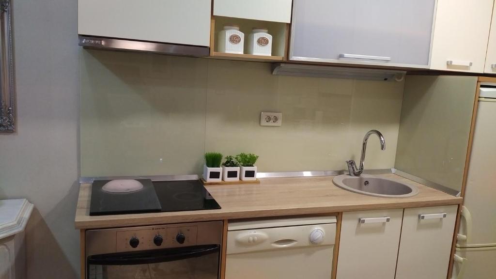 Kuchyňa alebo kuchynka v ubytovaní Apartment Gold & Gray