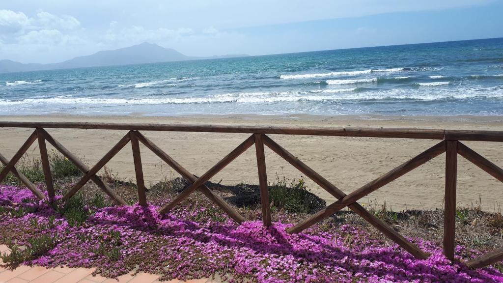 une clôture avec des fleurs violettes sur la plage dans l'établissement Rocky & Lia, à Bacoli