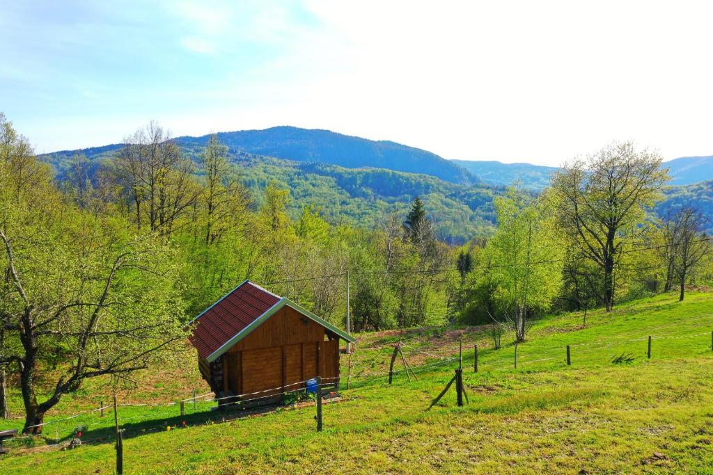 Príroda v okolí chaty v prírode