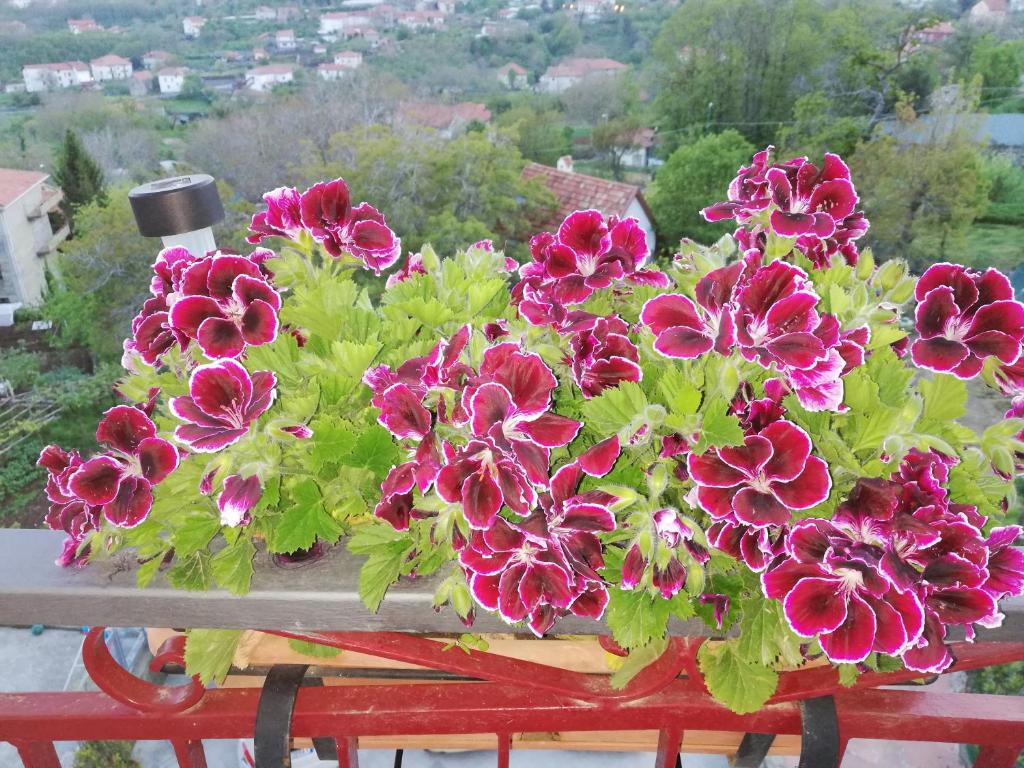 Balkon lub taras w obiekcie IL PARADISO DEGLI DEI 2
