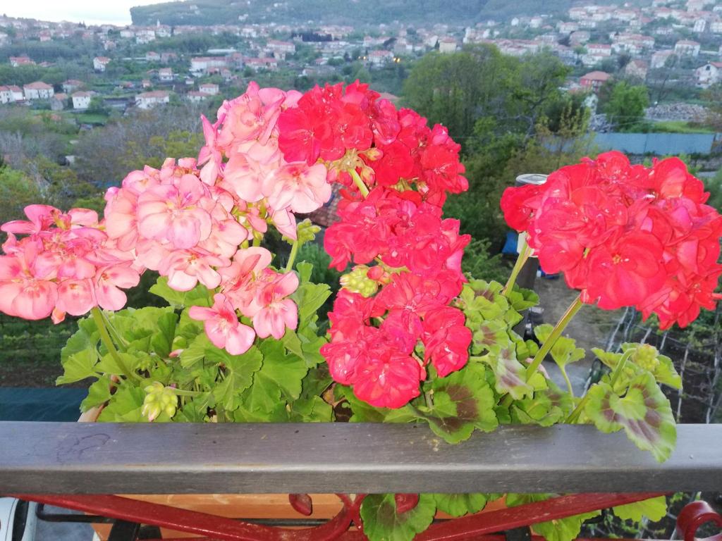 Zdjęcie z galerii obiektu IL PARADISO DEGLI DEI 2 w mieście Agerola