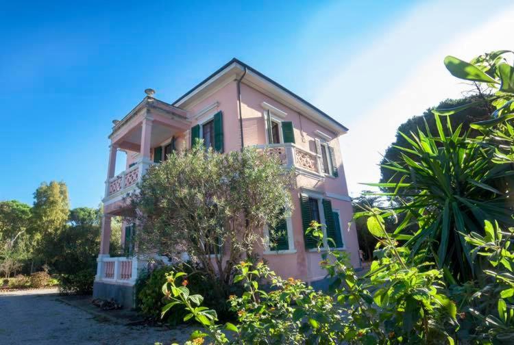 A garden outside Villa Rosa de Mar