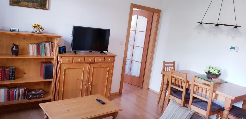 TV a/nebo společenská místnost v ubytování Apartmán Černý Důl