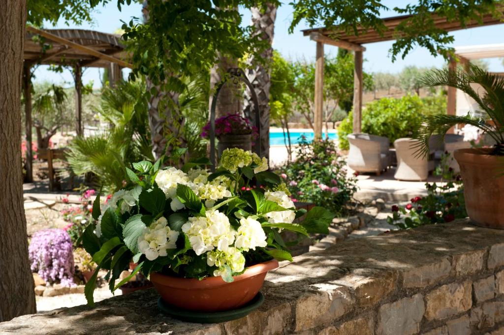 a group of potted plants sitting on a stone wall at Agriturismo Don Carlo in Baglio Rizzo