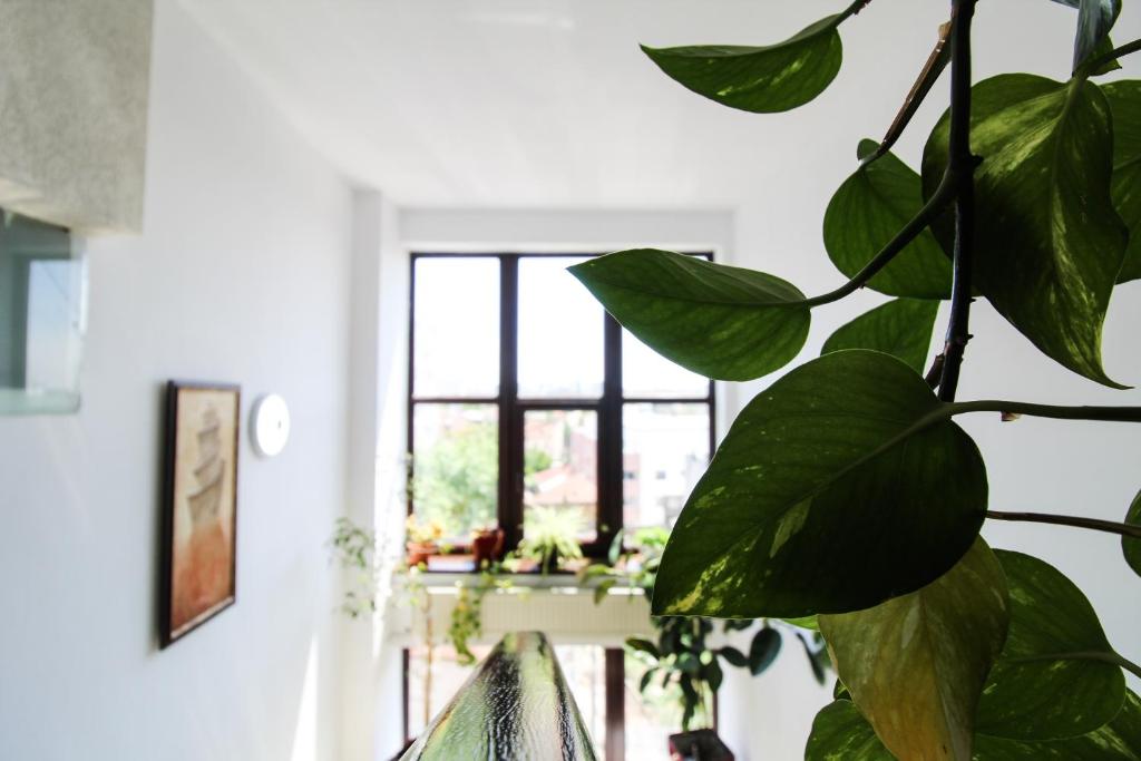 Hotel Razvan - Resim 20