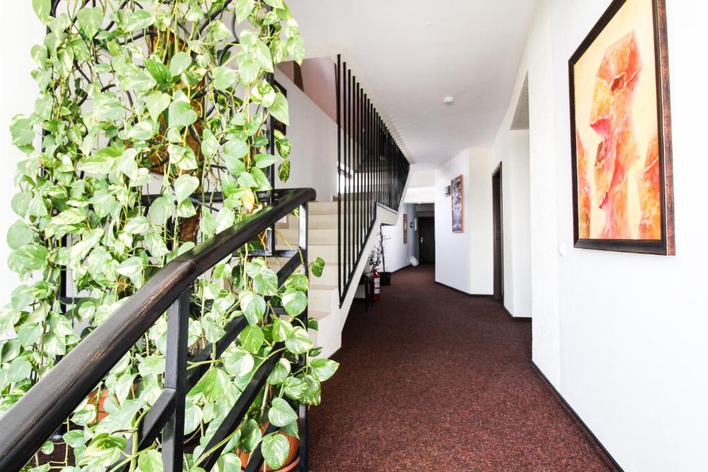 Fotografie z fotogalerie ubytování Hotel Razvan v Bukurešti