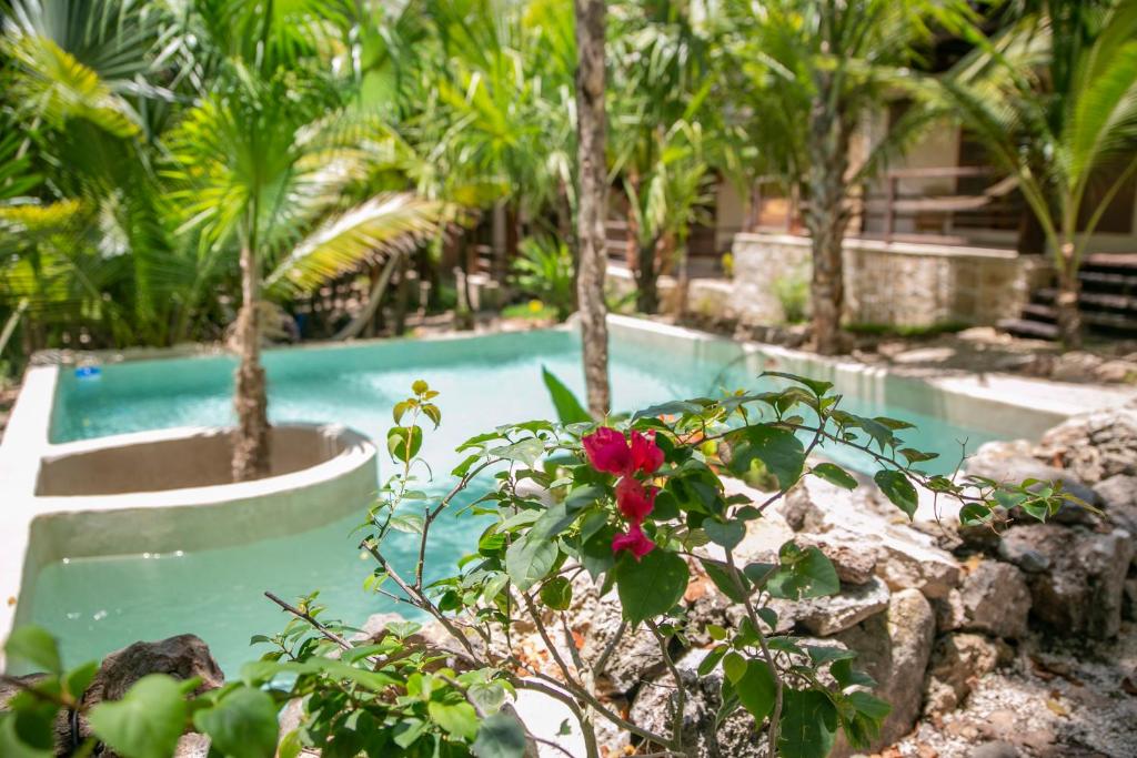 Zahrada ubytování Hotel Buenavista Bacalar Jungle Experience
