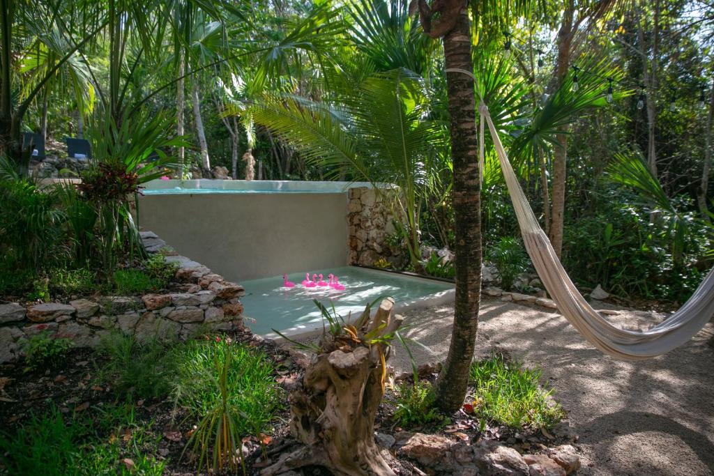 Zahrada ubytování Hotel Buenavista Bacalar Jungle Experience