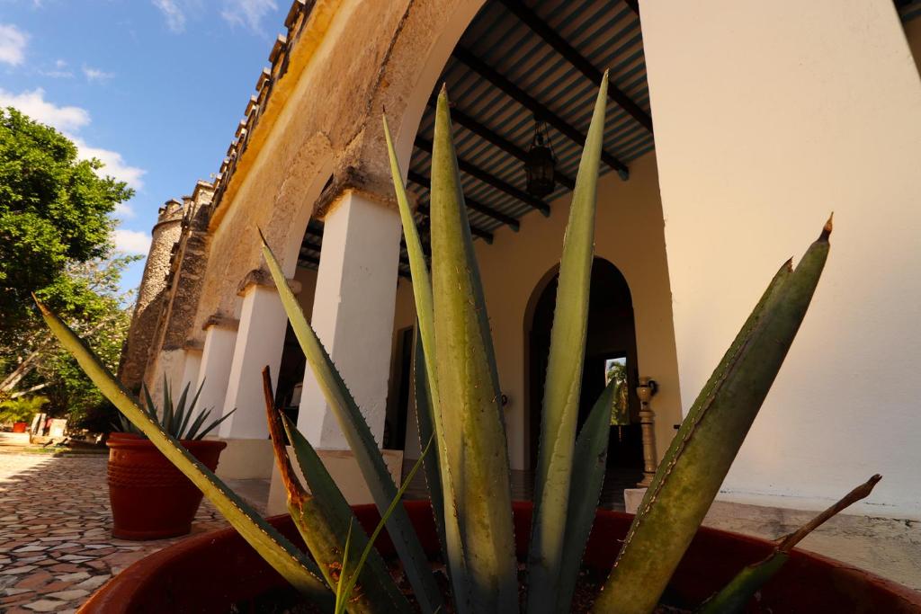 Fotografie z fotogalerie ubytování Hacienda Kaan Ac v destinaci Valladolid