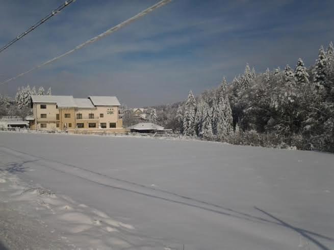 a snow covered road with a house in the background at Pensiunea Diva in Cacica