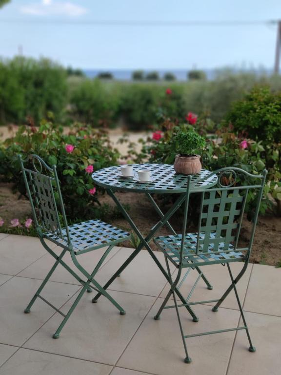 Fotografie z fotogalerie ubytování Olive Tree Cottage 2 v destinaci Néa Péramos