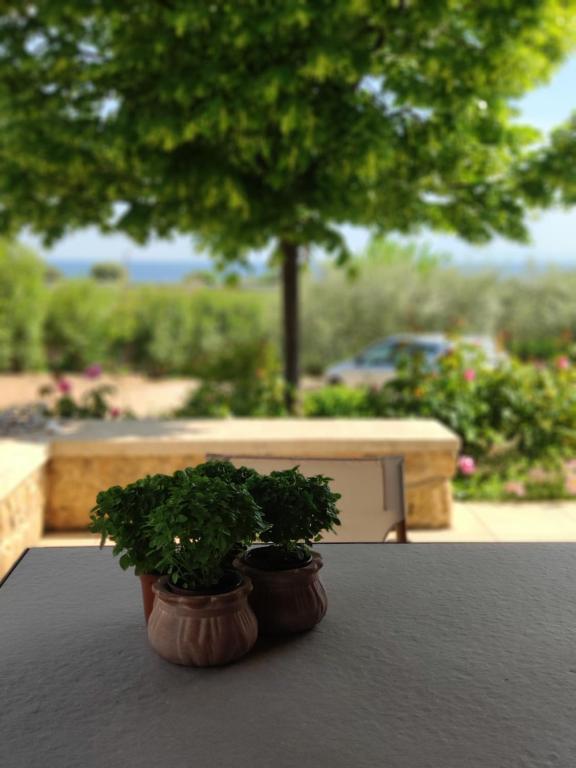 Zahrada ubytování Olive Tree Cottage 2