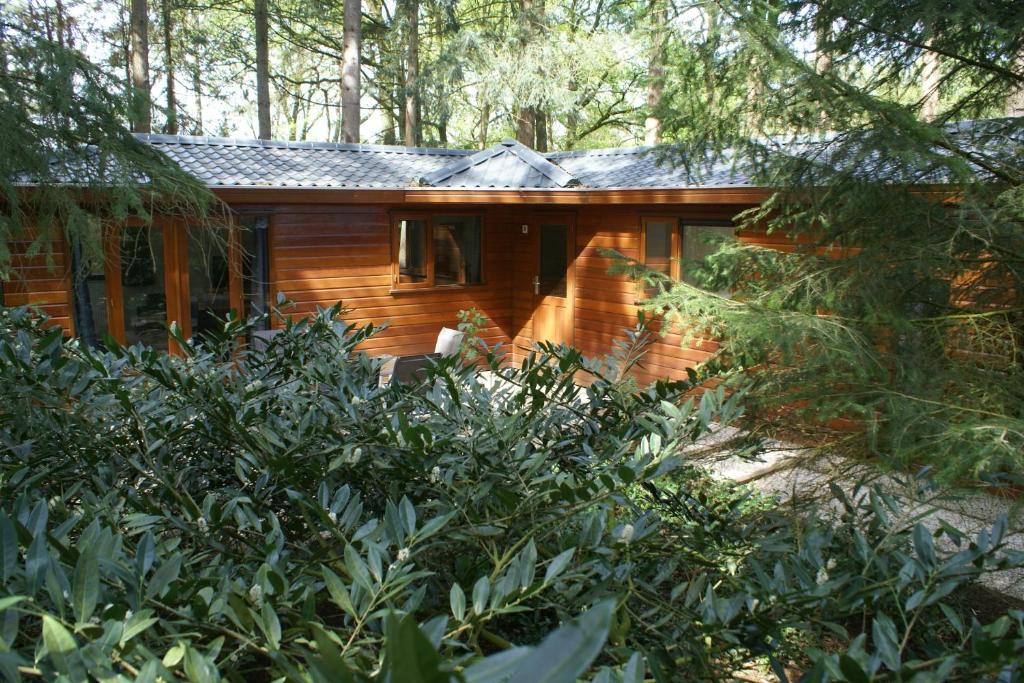 a log cabin in the woods with trees at t'Bakkersboschje nummer 8 in Putten