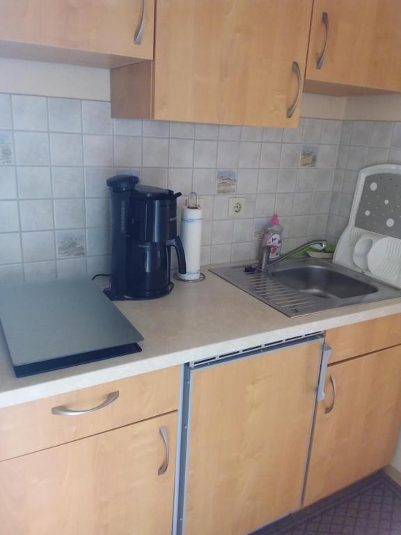 a kitchen with a sink and a counter top at Ferìenwohnung Mende 1 in Lübbenau