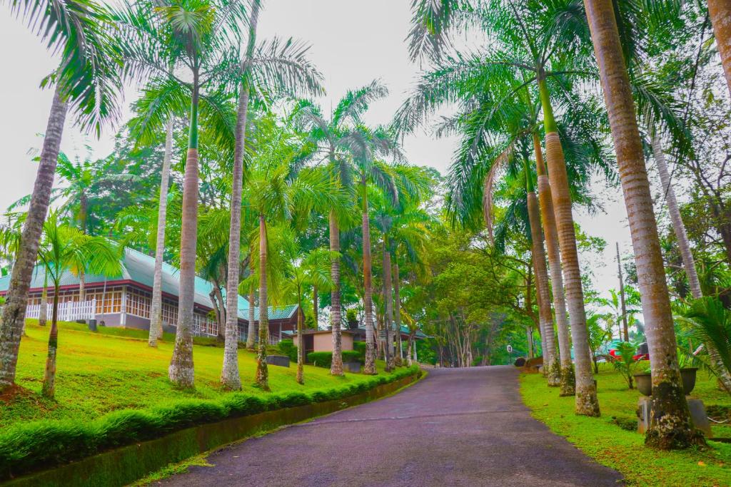 A garden outside Rajanawa Resort