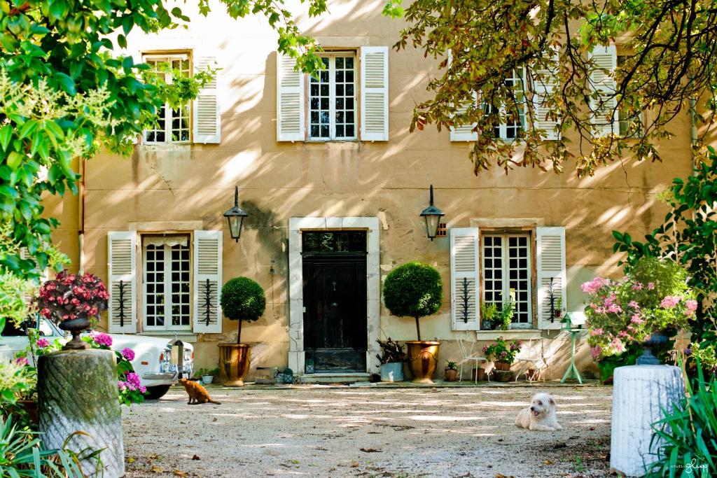 a house with a dog sitting in front of it at B&B Domaine Le Clos du Pavillon in Brignoles