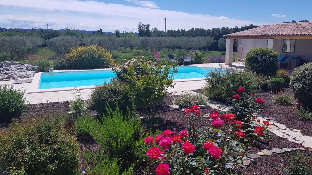 Maillane的住宿－La maison des Amis，花卉花园中的游泳池
