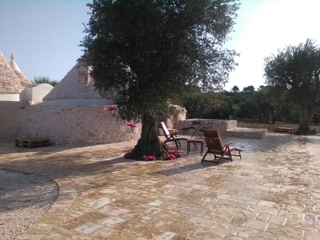 Fotografie z fotogalerie ubytování Trulli da Lalli v destinaci Ostuni