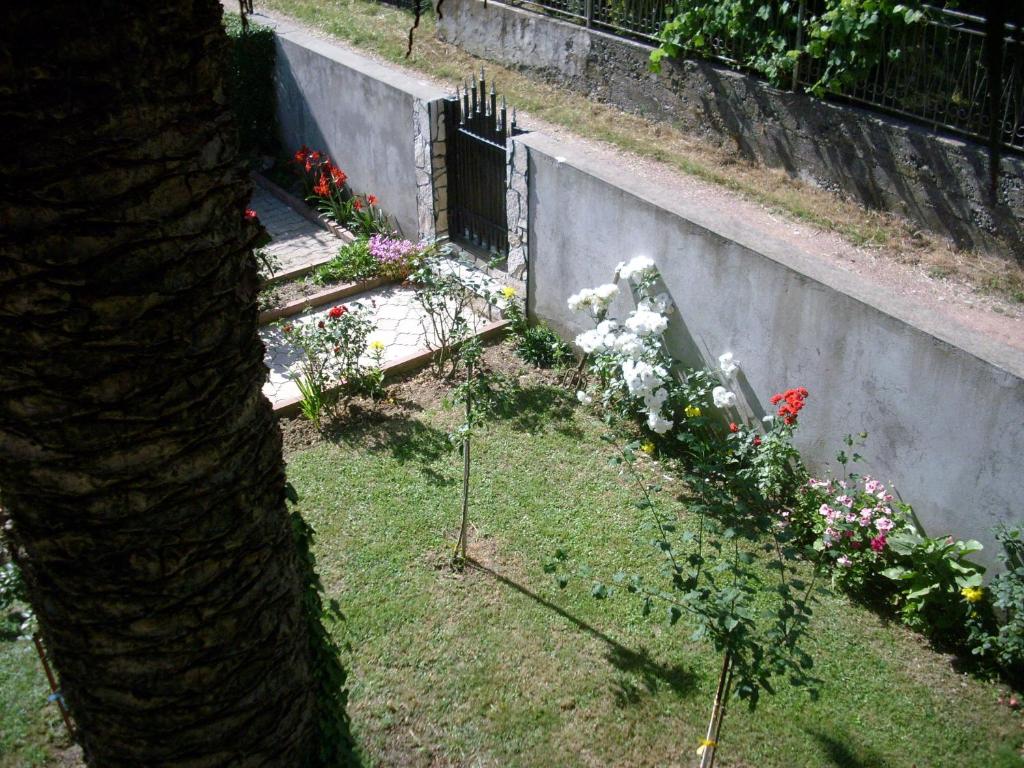 Aed väljaspool majutusasutust Apartments Lazarević Sutomore