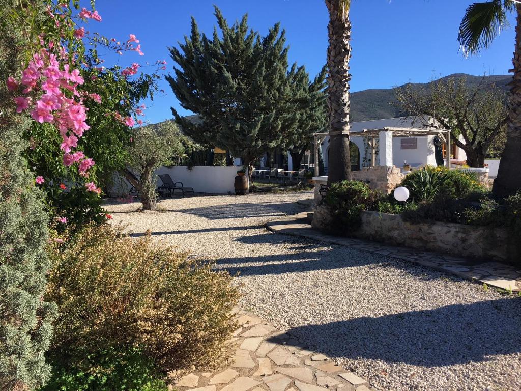 Buena Idea - Adults Only - 4