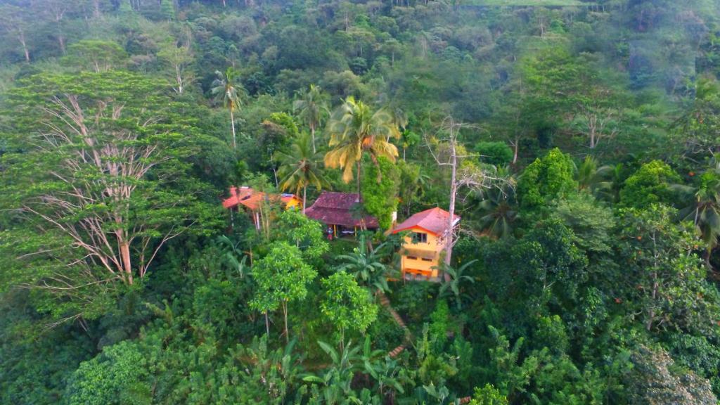 una casa en medio de un bosque de árboles en Natural Mystic Sanctuary, en Deniyaya
