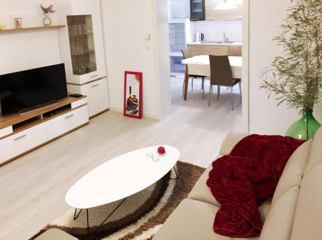 TV a/nebo společenská místnost v ubytování Apartments Vlasta