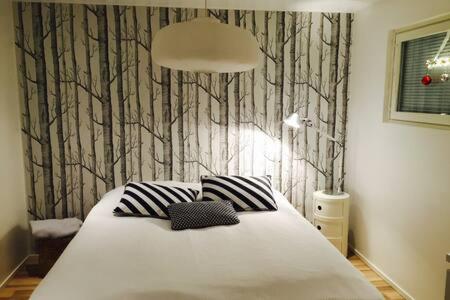 ロヴァニエミにあるScandinavian Style Villaのベッドルーム1室(枕2つ付)
